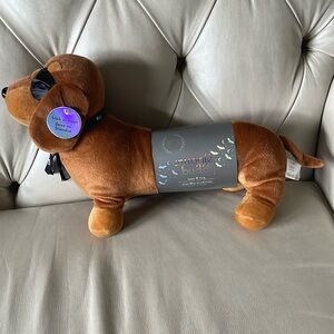 Halloween themed snuggle, bunny, heat, and hug dachshund.